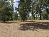 16393 Hwy 31 Lot-4 - Photo 7