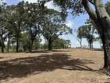 16393 Hwy 31 Lot-4 - Photo 8