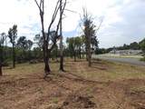 16393 Hwy 31 Lot-4 - Photo 9
