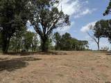 16393 Hwy 31 Lot-5 - Photo 13