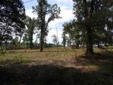16393 Hwy 31 Lot-5 - Photo 20