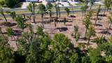 16393 Hwy 31 Lot-3 - Photo 29