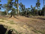 16393 Hwy 31 Lot-2 - Photo 15