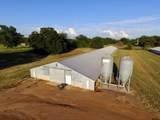 TBD Hwy 259 - Photo 2