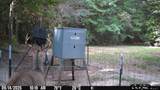 1115 County Road 3160 - Photo 34