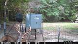 1115 County Road 3160 - Photo 35