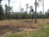 16393 Hwy 31 Lot-2 - Photo 6