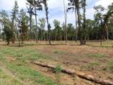 16393 Hwy 31 Lot-2 - Photo 7