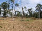 16393 Hwy 31 Lot-2 - Photo 8