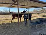 302 Vz County Road 4910 - Photo 10