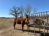 302 Vz County Road 4910 - Photo 12