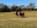 977 Farm-To-Market 17 - Photo 23
