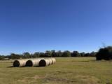 977 Farm-To-Market 17 - Photo 25