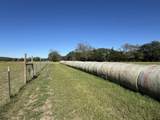 977 Farm-To-Market 17 - Photo 27
