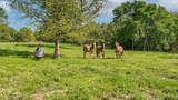 4919 Fm 515 - Photo 38