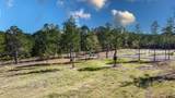 15537 Aniston Ln - (Lot 2) - Photo 31