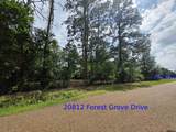 20812 Forest Grove Drive - Photo 3