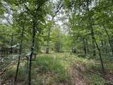 15195 Farm Road 71 - Photo 11