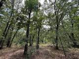 15195 Farm Road 71 - Photo 17