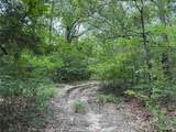 15195 Farm Road 71 - Photo 8