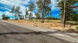 15702 Aniston Ln - (Lot 24) - Photo 44