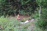 TBD Loop 456 -14.73 Acres - Photo 3