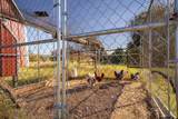 1855 Phillips Springs Rd - Photo 36
