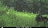 5282 Sh 37 - Photo 48