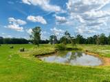 1188 An County Road 103 - Photo 44