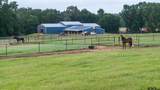 21384 County Road 116 - Photo 30