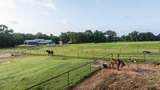 21384 County Road 116 - Photo 31