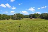 3360 Fm 1249 - Photo 11