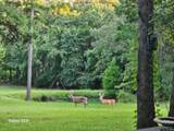 4491 Fm 2869 - Photo 1