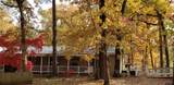 4491 Fm 2869 - Photo 36