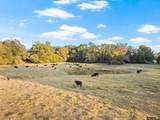 1663 County Road 1405 - Photo 39