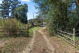 1159 County Road 479D - Photo 27