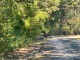 244 Cr 2602 - Photo 7