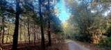 10774 Cr 494 (Multiple Addresses) - Photo 25