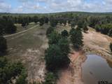 12075 County Road 452 - Photo 7