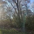 TBD Rolling Wood Hills Subdivision - Photo 2