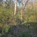 TBD Rolling Wood Hills Subdivision - Photo 4