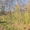TBD Rolling Wood Hills Subdivision - Photo 6