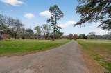 6501 County Road 118 - Photo 4