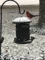 1383 Fm 3266 - Photo 39