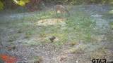 97 Cr 2640 - Photo 40