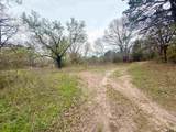 10933 County Road 384 - Photo 7