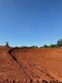 12068 County Road 433 - Photo 34