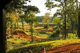 12068 County Road 433 - Photo 4