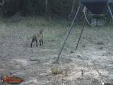 139 Cr 1061 - Photo 2