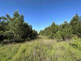 20015 Us Hwy 69 S. - Photo 32
